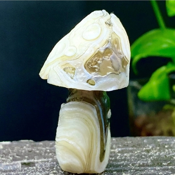33G Natural Gobi Thousand Eyed Agate Mushroom Shape Natural Gemstone Hand Carved - Picture 4 of 8